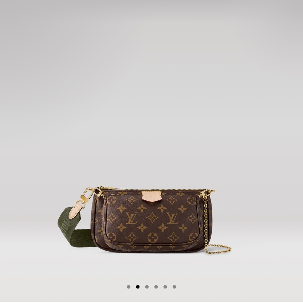 Louis Vuitton Multi Pochette Accessories Bag